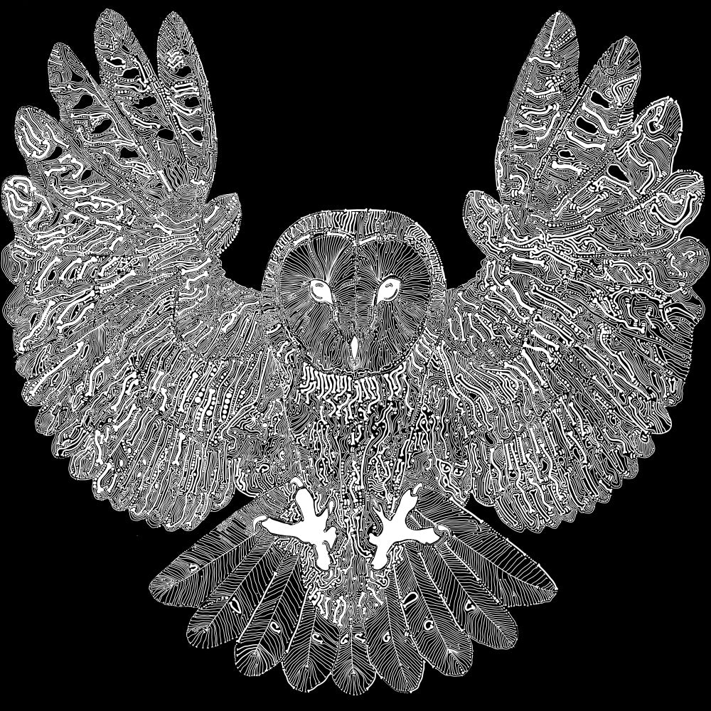 THE ARK OF EXTINCTION/BARN OWL LIMITED EDITION PRINT - 50